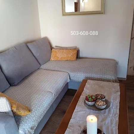 Blisko Zamku Ksiaz 503-608-088 アパート Stare Bogaczowice